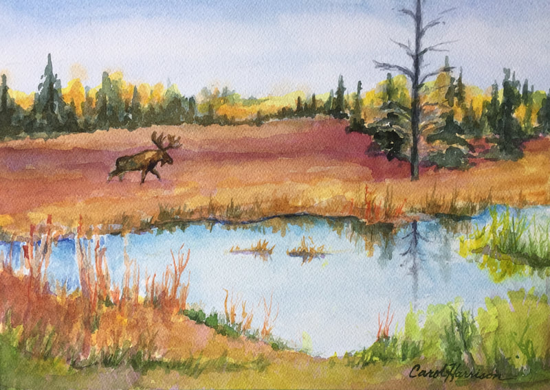 Moose Country 14 x 11"